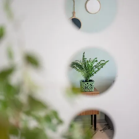 Apartment Wohlfuehlwohnung Mit 25 Qm Terrasse, Netflix